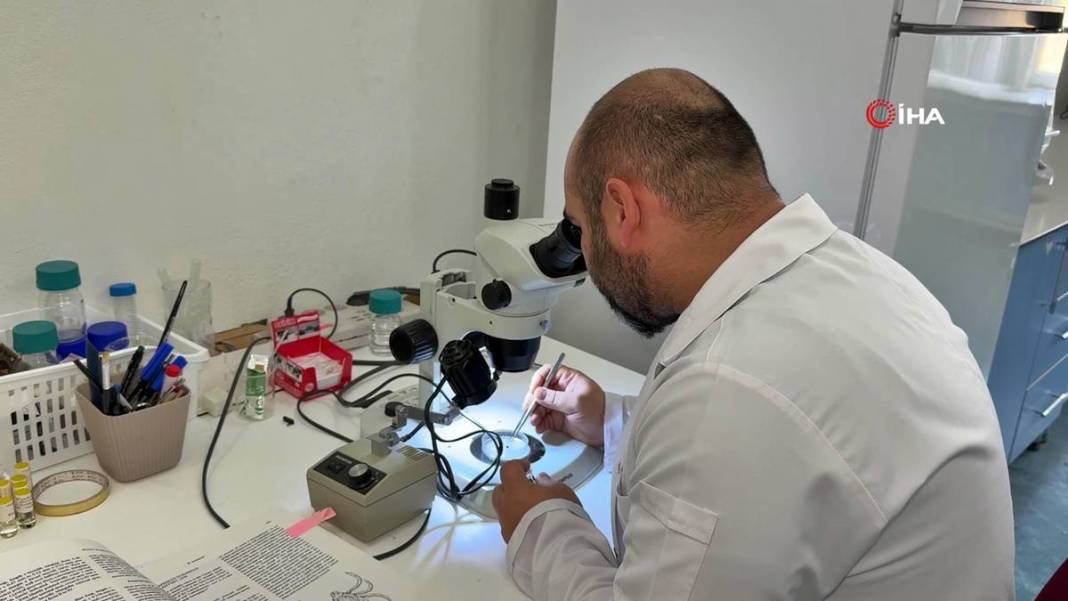 Bu mevsimde kamp yapanlar şimdi yandı: Sayısı hızla artıyor! Uzman isim uyardı, bunun şakası yok 3